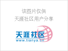 非一般招聘，直接通过Twitter申请工作职位