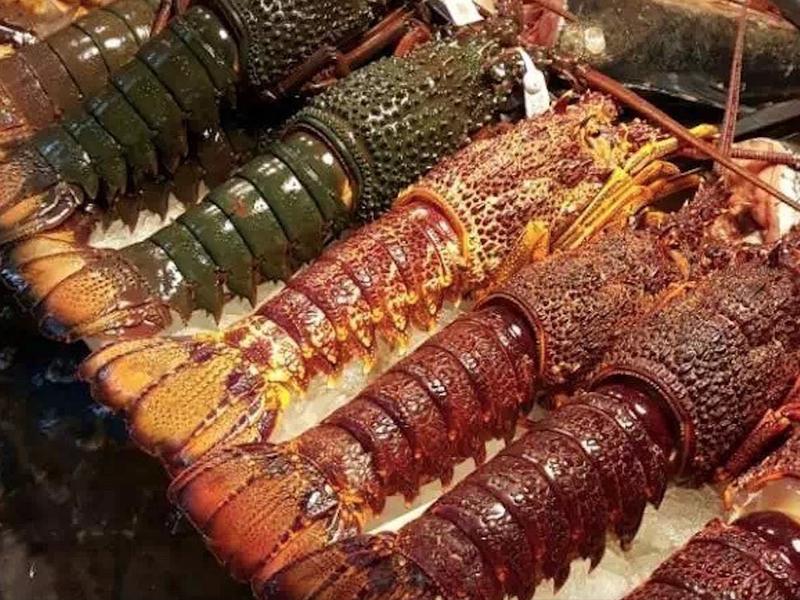 三源里菜市场的海鲜大生意