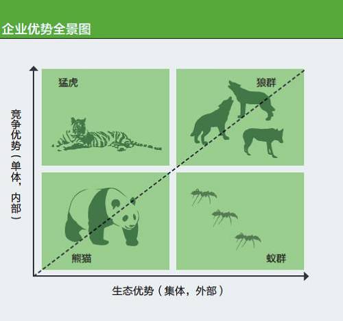 如今，所有企业都面临着“竞争优势+生态优势”的双重大考