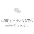 商务礼仪非小事，举手投足须得体