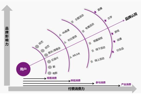 具体来说，国内视频网站在打造和构建自身会员体系和付费生态时体现出较大的差异化，爱奇艺以IP为核心构建其生态系统，将文学、影视、动漫、游戏、衍生品、电商等全面打通，从而使IP价值得到最大化，如爱奇艺以文学IP《老九门》为基础开发的网络剧系列电影游戏周边衍生代言人全产业链是经典案例；腾讯视频则是基于社交媒体展开的泛娱乐体系；优酷土豆围绕阿里电商实行其“三通<a target=