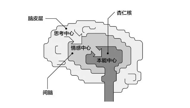 老板：说来惭愧，营销老总年薪百万，却不知道营销真正的驱动力