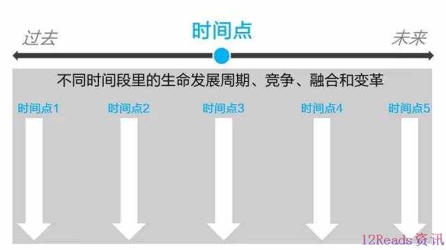 隐藏真相：失败是成功的另一种写法